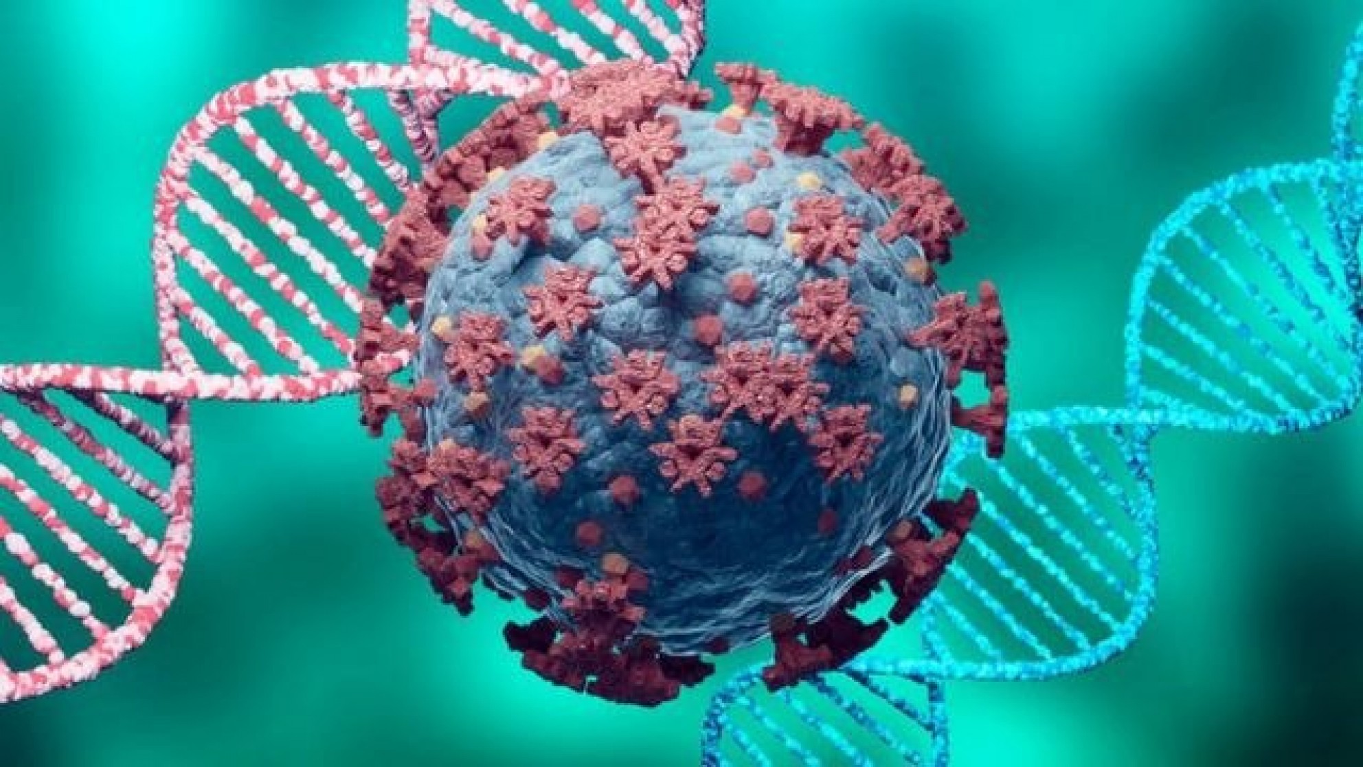 La OMS no registra hasta el momento ninguna muerte por la variante Ómicron